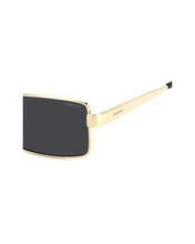 Load image into Gallery viewer, Male Sunglasses PLD-6255/S/X-2F7