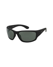 Load image into Gallery viewer, Unisex Sunglasses PLD-7005/S-YYV