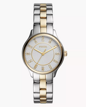 Load image into Gallery viewer, Modern Sophisticate Female Watch BQ1574