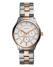 Load image into Gallery viewer, Modern Sophisticate Female Watch BQ1564