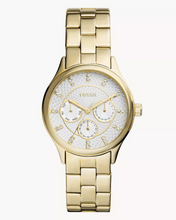 Load image into Gallery viewer, Modern Sophisticate Female Watch BQ3912