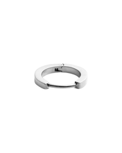 Load image into Gallery viewer, Silver Earring DW00400882