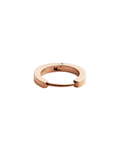 Load image into Gallery viewer, Rose Gold Earring DW00400862
