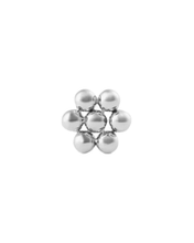 Load image into Gallery viewer, Silver Earring DW00400873