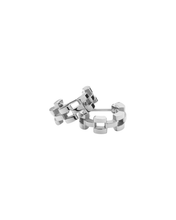 Load image into Gallery viewer, Silver Earrings DW00401019