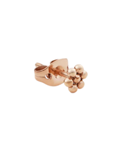 Load image into Gallery viewer, Rose Gold Earring DW00400853