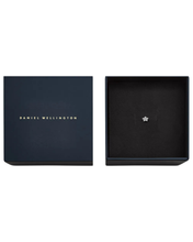 Load image into Gallery viewer, Silver Earring DW00400874